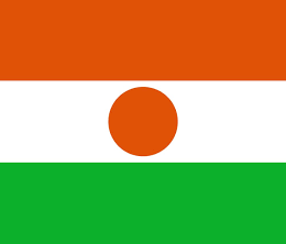 Niger flag