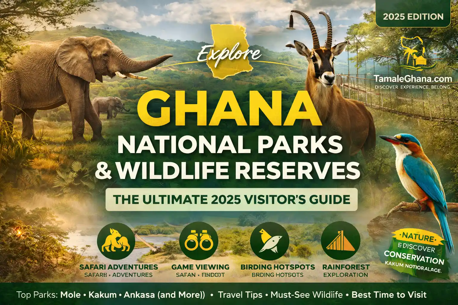 Ghana National Parks & Wildlife Reserves: The Ultimate 2026 Visitor’s Guide